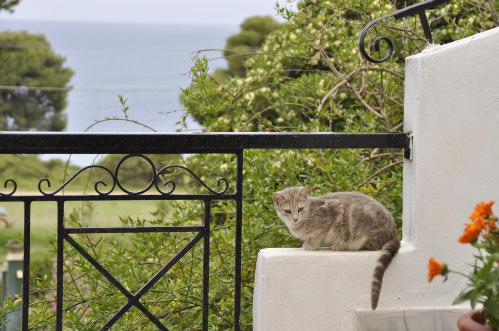 Heracles Guesthouse Rovies Quarto foto