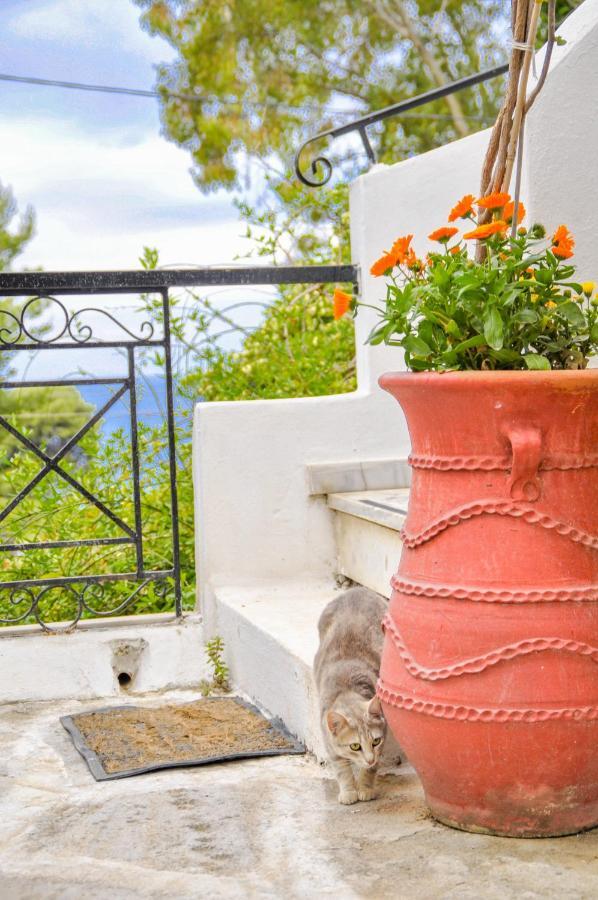 Heracles Guesthouse Rovies Exterior foto